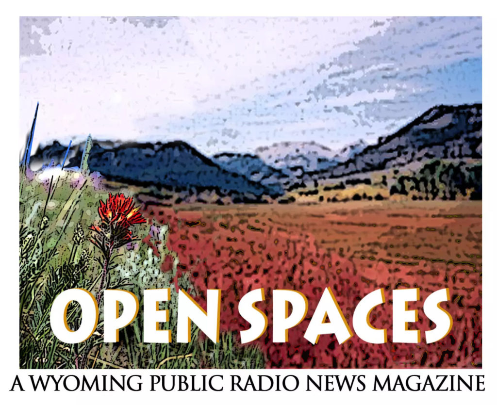 Open Spaces logo